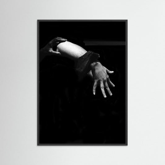 Fine Art Print